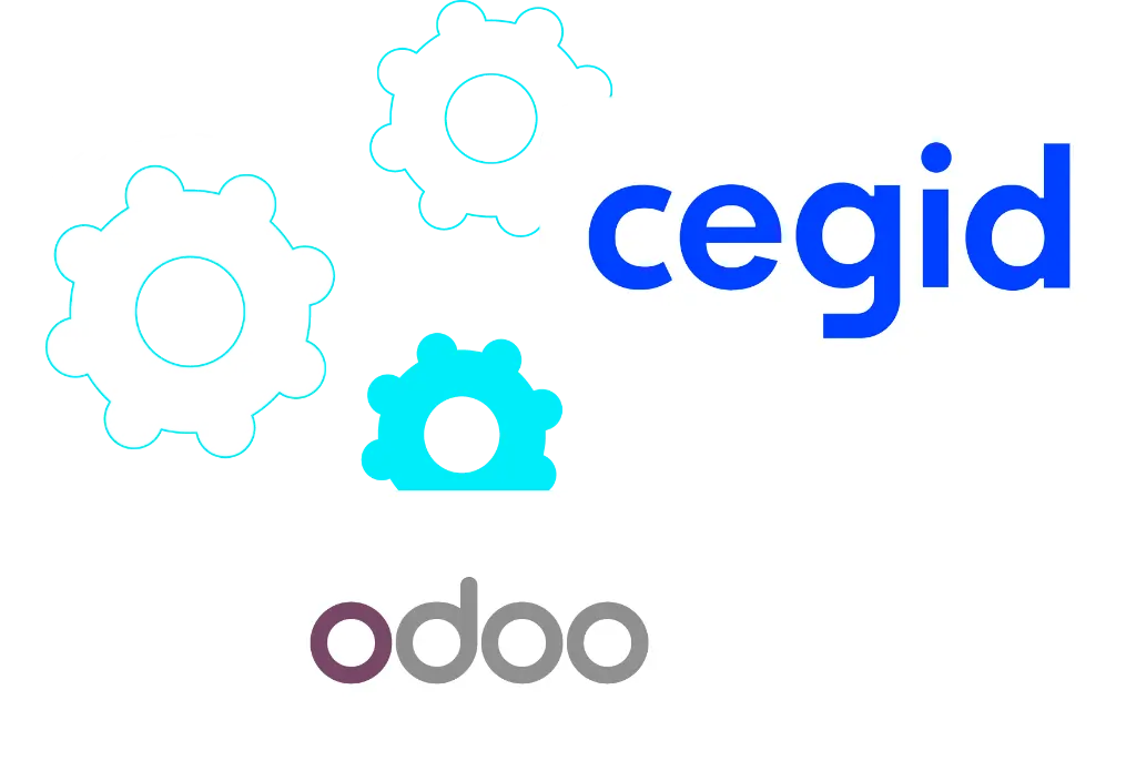 Business professional explaining Odoo-Cegid integration.